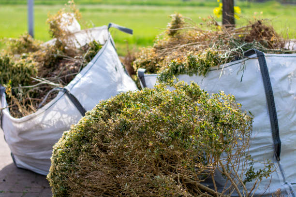 Best Same-Day Junk Removal  in Minnetonka, MN